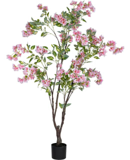 VERDOLA 160CM BOUGAINVILLEA PLANT Main Image