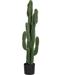 VERDOLA 125CM COLUMN CACTUS PLANT Main Image