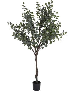 VERDOLA 210CM EUKALYPTUSPUU TEKOKASVI Main Image