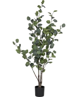 VERDOLA 120CM EUCALYPTUS TREE PLANT Main Image