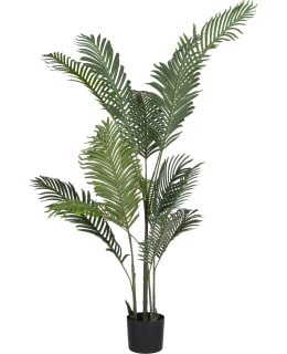 VERDOLA 150CM ARECA PALM PLANT Main Image