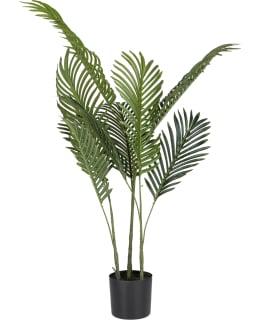 VERDOLA 80CM ARECA PALM PLANT Main Image
