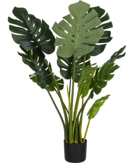 VERDOLA 110CM PEIKONLEHTI TEKOKASVI Main Image