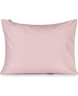 KOTOILU C 50X60 VILLIRUUSU TYYNYLIINA Main Image