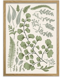 KOTOILU KASVIO 50X70X2,7  CANVAS ART Main Image