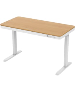 FLEXISPOT ELITE 60X120CM OAK E-DESK Main Image