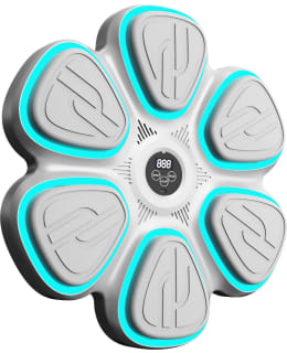 AOT VALK BOXING TARGET III Main Image