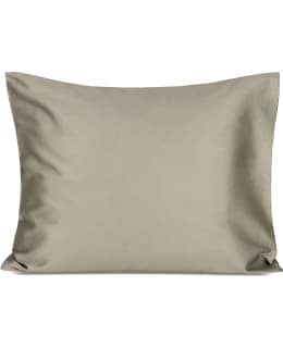 AINA 50X60 BEIGE PUUV. SAT. TYYNYLIINA Main Image