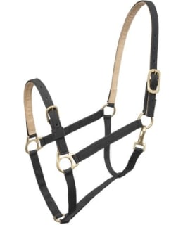 Wahlsten halter black pony Main Image