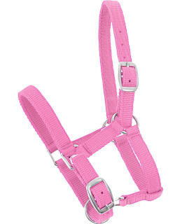 HC PINKKI MAITOVARSAN NAILONRIIMU Main Image