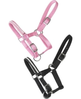 WAHLSTEN CRYSTAL MU NAILONR. VARSALLE Main Image