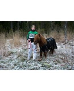 W-HEALING 02720 RUG HOITAVA LOIMI 115CM Main Image