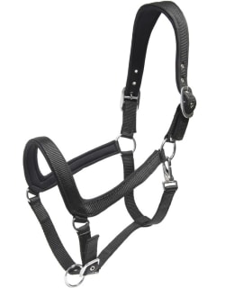 WAHLSTEN PADDOCK 203122-990-FULL RIIMU Main Image