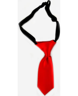 VENIZ 71113 L.SOLMIO Main Image