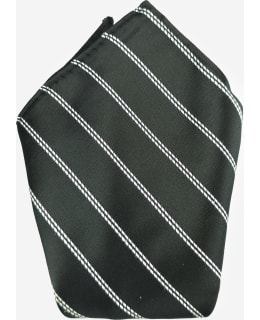 VENIZ 75920-10 M.STRIPED POCKET SQUARE Main Image