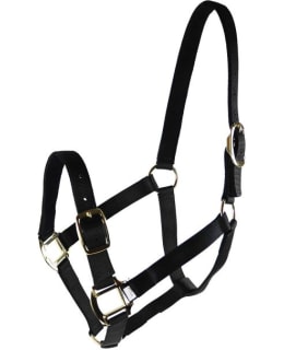 EQUITARE PRO 1000-XFULL TUR.AV. NAIL.RII Main Image