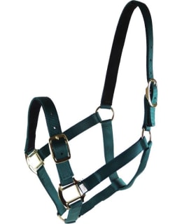 EQUITARE PRO 3500-COB TUR.AV. NAILONRIIM Main Image