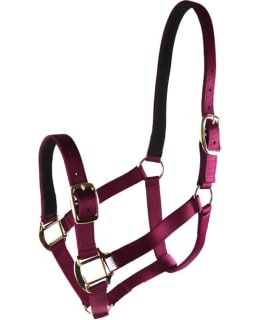EQUITARE PRO 2600-XFULL TUR.AV. NAIL.RII Main Image
