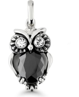 KT WP-58490Zmusta hopeariipus Main Image