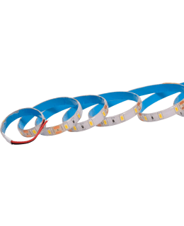 Axxel 12V IP65 9.6W 2m 3500k led nauha Main Image
