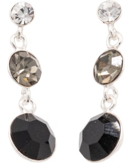 SILVERBAR 1446 EARRINGS Main Image