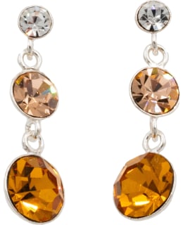 SILVERBAR 1448 EARRINGS Main Image