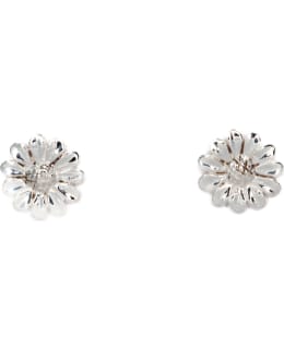 SILVERBAR 8838 MARIGOLD KORVAKORUT Main Image