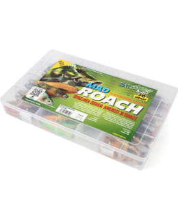 SHAKER BAITS MAXI MAD ROACH JIGISARJA Main Image