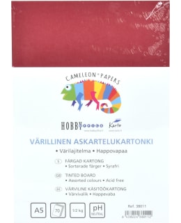 KARTO A5 VÄRILAJITELMA KARTONKI Main Image