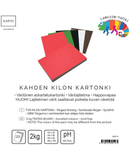 KARTO 225ARK VÄRILAJITELMA KILOKARTONKI Main Image