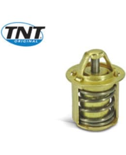 TNT CALORSTAT, MINARELLI AM6 Main Image