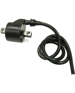 IGNITION COIL POLARIS Main Image