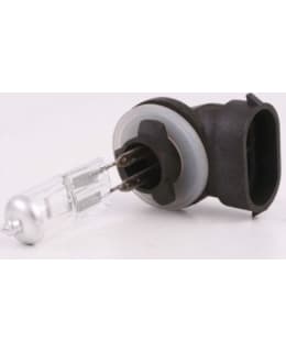 BULB Main Image