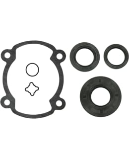 FULL SET W/OIL SEALS ROTAX 250 FC Main Image