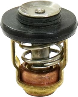 SEA-X, THERMOSTAT YAMAHA Main Image