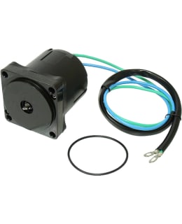 SEA-X, MOTOR,POWER TRIM Main Image
