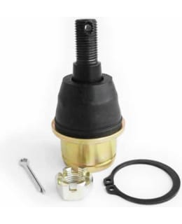 EPI PALLONIVEL5 Main Image