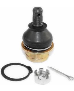 EPI PALLONIVEL7 Main Image