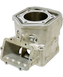 SNO-X SYLINTERI ROTAX 600CC SDI Main Image