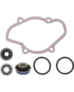 SNO-X WATER PUMP REPAIR KIT SKI-DOO 800 Main Image