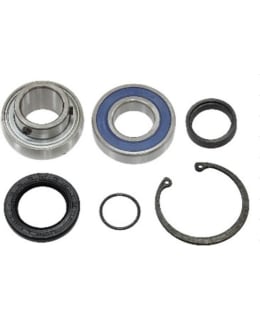 SNO-X CHAIN CASE BEARING KIT 5 Main Image
