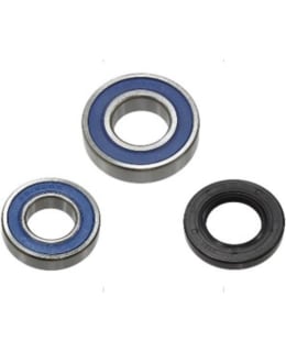 SNO-X CHAIN CASE BEARING KIT 10 Main Image