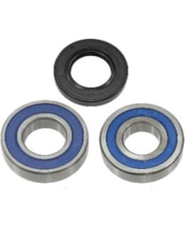 SNO-X CHAIN CASE BEARING KIT 15 Main Image