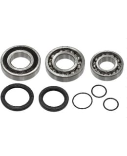 SNO-X CHAIN CASE BEARING KIT Main Image