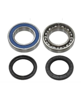 SNO-X CHAIN CASE BEARING KIT 9 Main Image