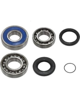 SNO-X CHAIN CASE BEARING KIT 18 Main Image
