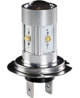 H7 12V 5000K LED-POLTTIMO Main Image