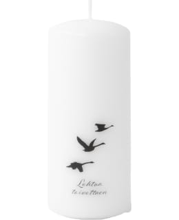 PUTTIPAJA 6X14CM LOHTUA TOIV.MUISTOKYNT Main Image