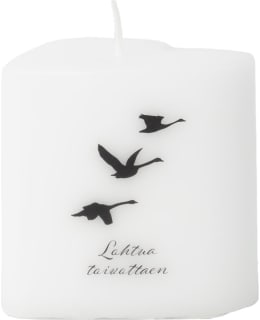 PUTTIPAJA 8X8 LOHTUA TOIVOTT.MUISTOSYDÄN Main Image