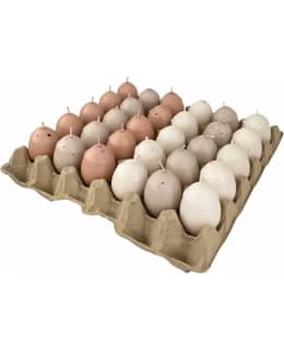 PUTTIPAJA 6 CM PUUTERI MUNAKYNTTILÄ Main Image